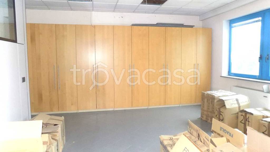 immagine annuncio 11 di 13