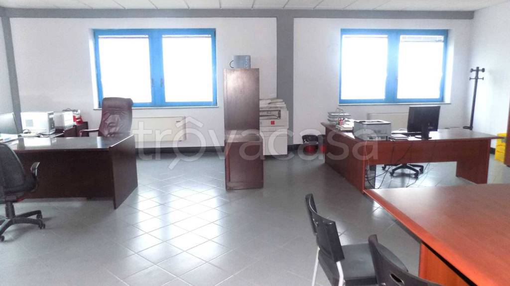 immagine annuncio 12 di 13