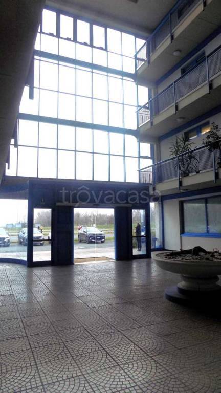 immagine annuncio 4 di 13