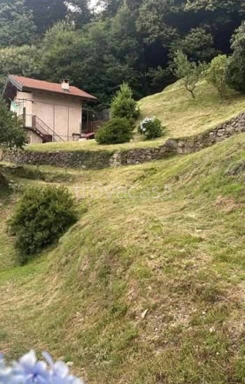 immagine annuncio 8 di 14