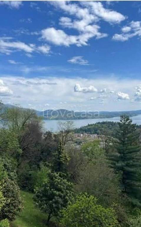 immagine annuncio 12 di 14