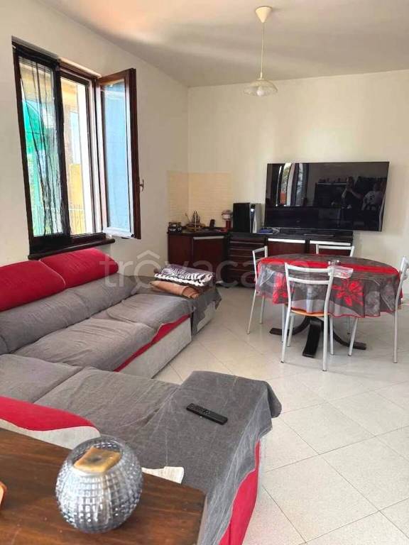 immagine annuncio 1 di 14