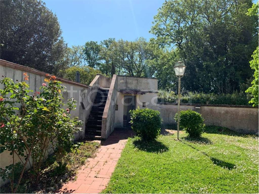 immagine annuncio 3 di 8