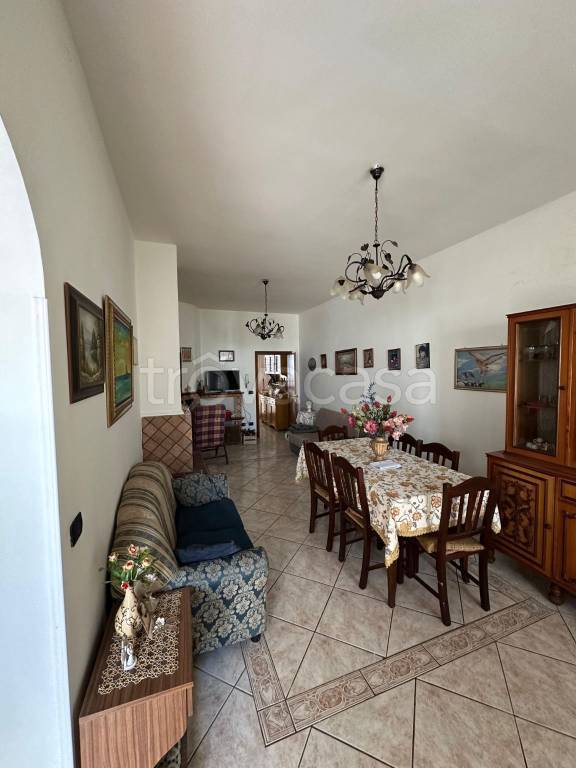 immagine annuncio 11 di 14