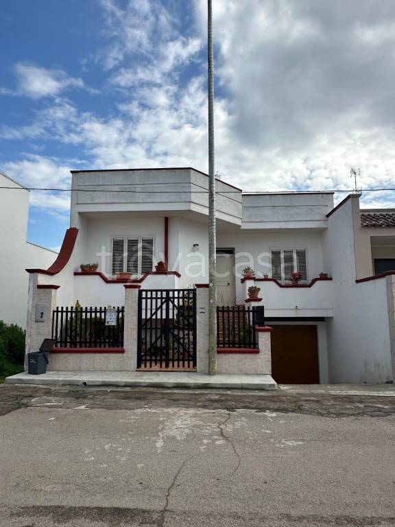 immagine annuncio 1 di 14