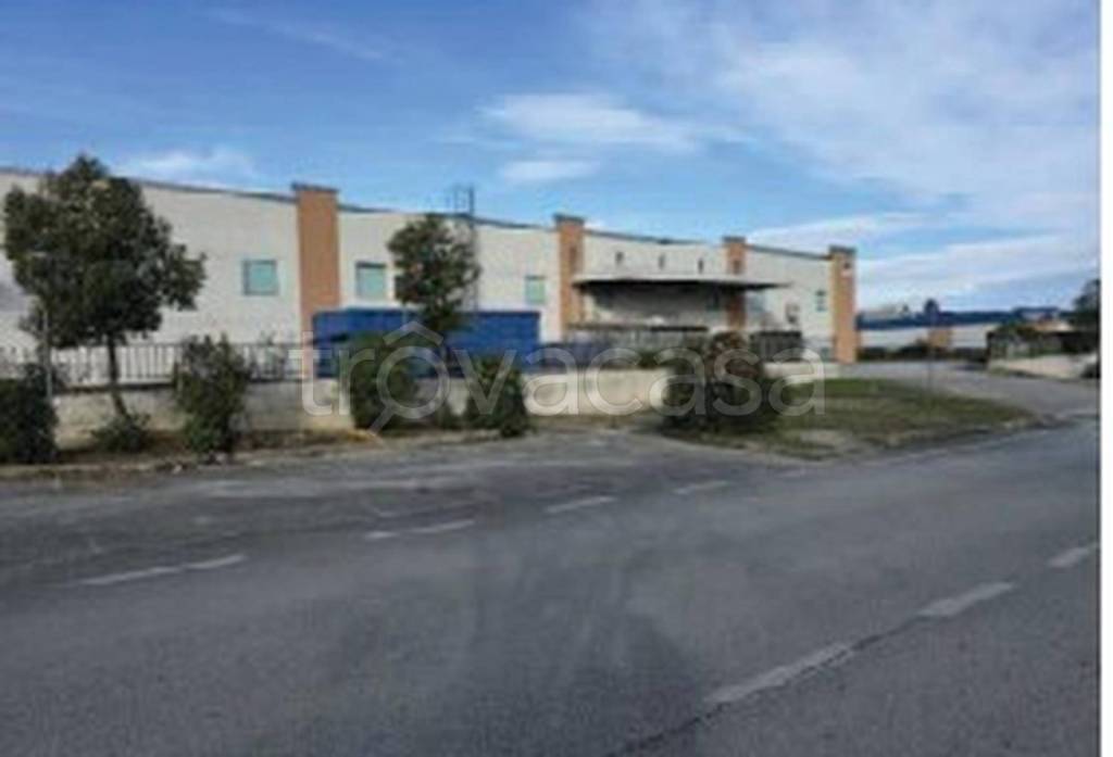 immagine annuncio 10 di 11