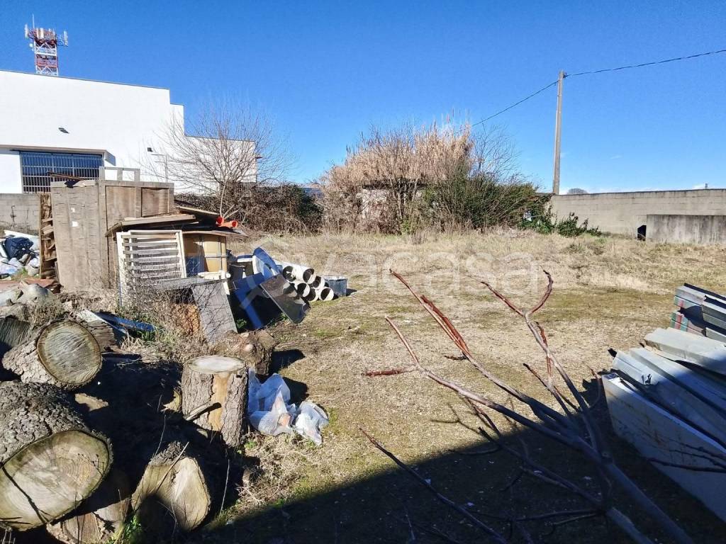 immagine annuncio 1 di 8