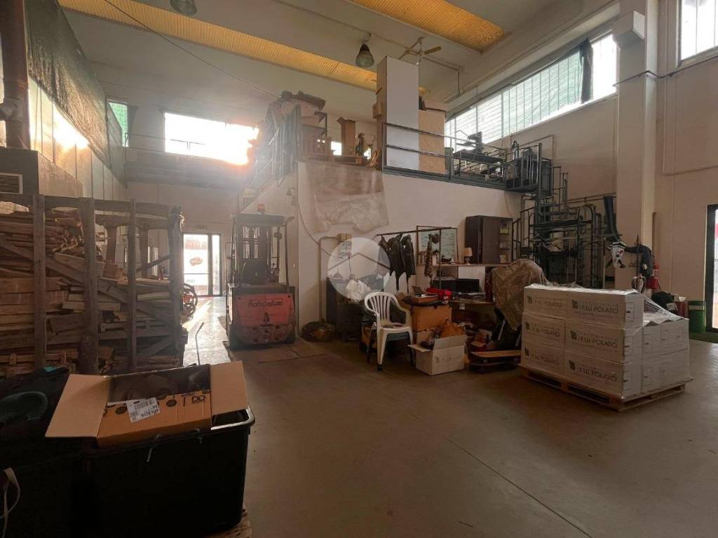 immagine annuncio 11 di 15