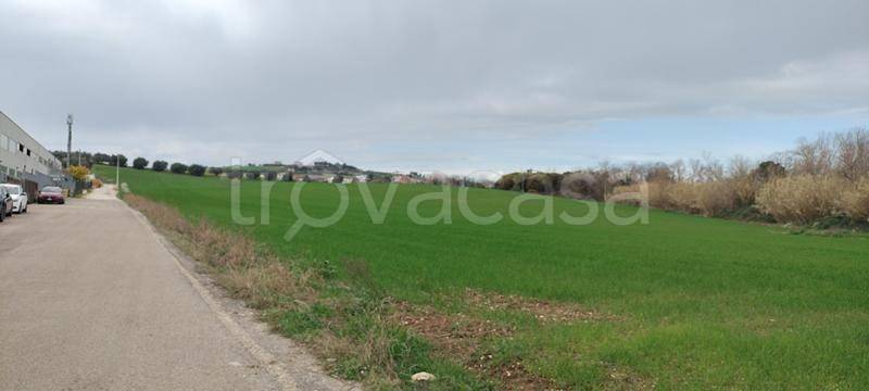 immagine annuncio 3 di 4