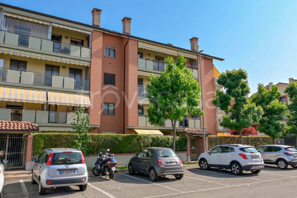 immagine annuncio 3 di 15