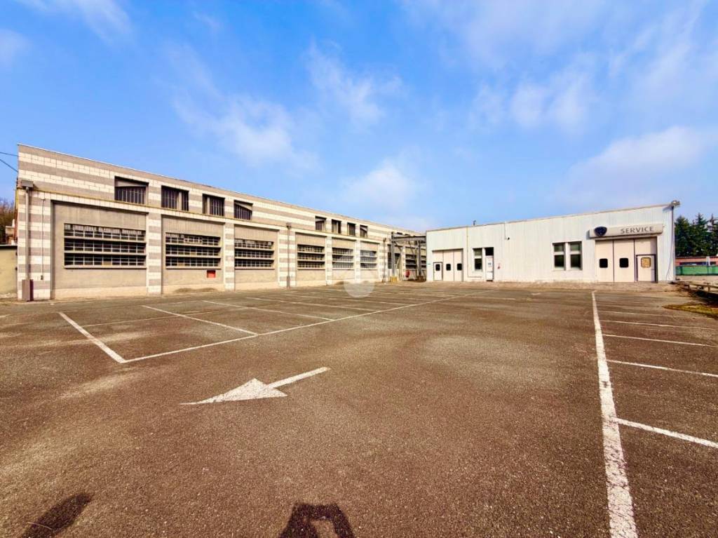 immagine annuncio 4 di 15