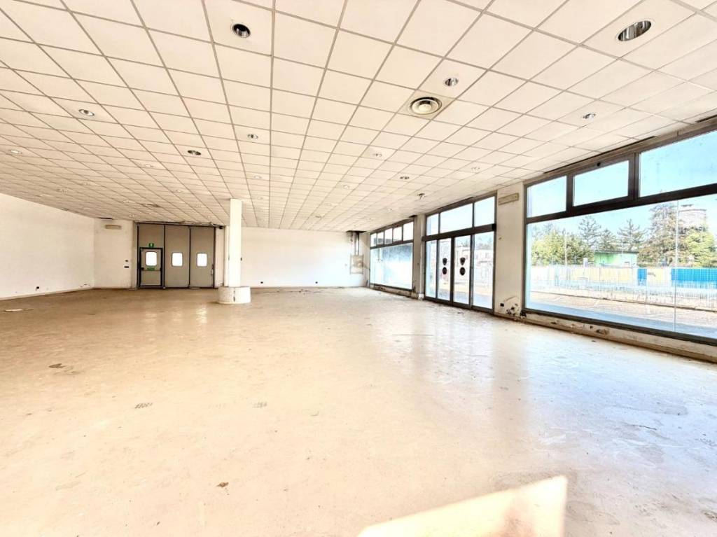 immagine annuncio 10 di 15