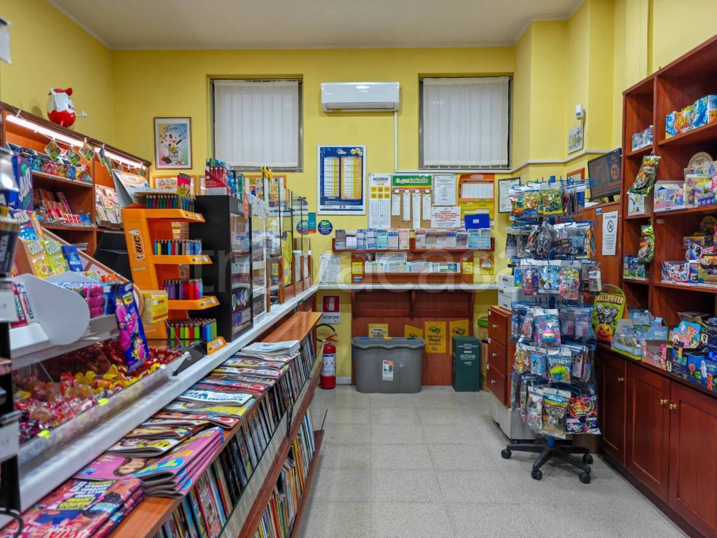 immagine annuncio 1 di 6