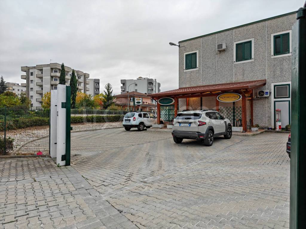 immagine annuncio 5 di 6