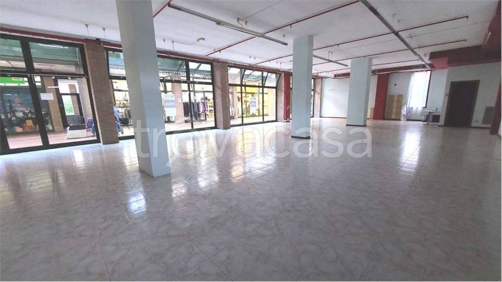 immagine annuncio 4 di 14