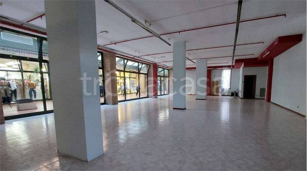 immagine annuncio 5 di 14