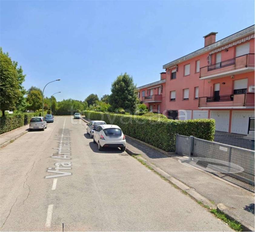 immagine annuncio 5 di 13