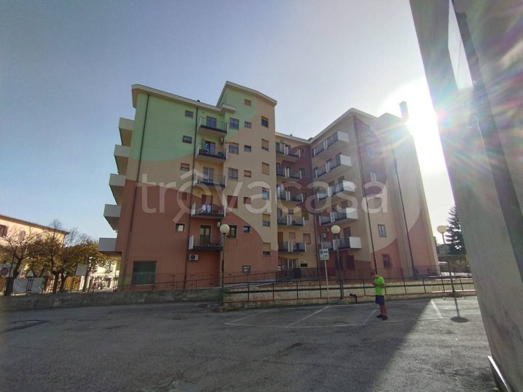 immagine annuncio 4 di 6