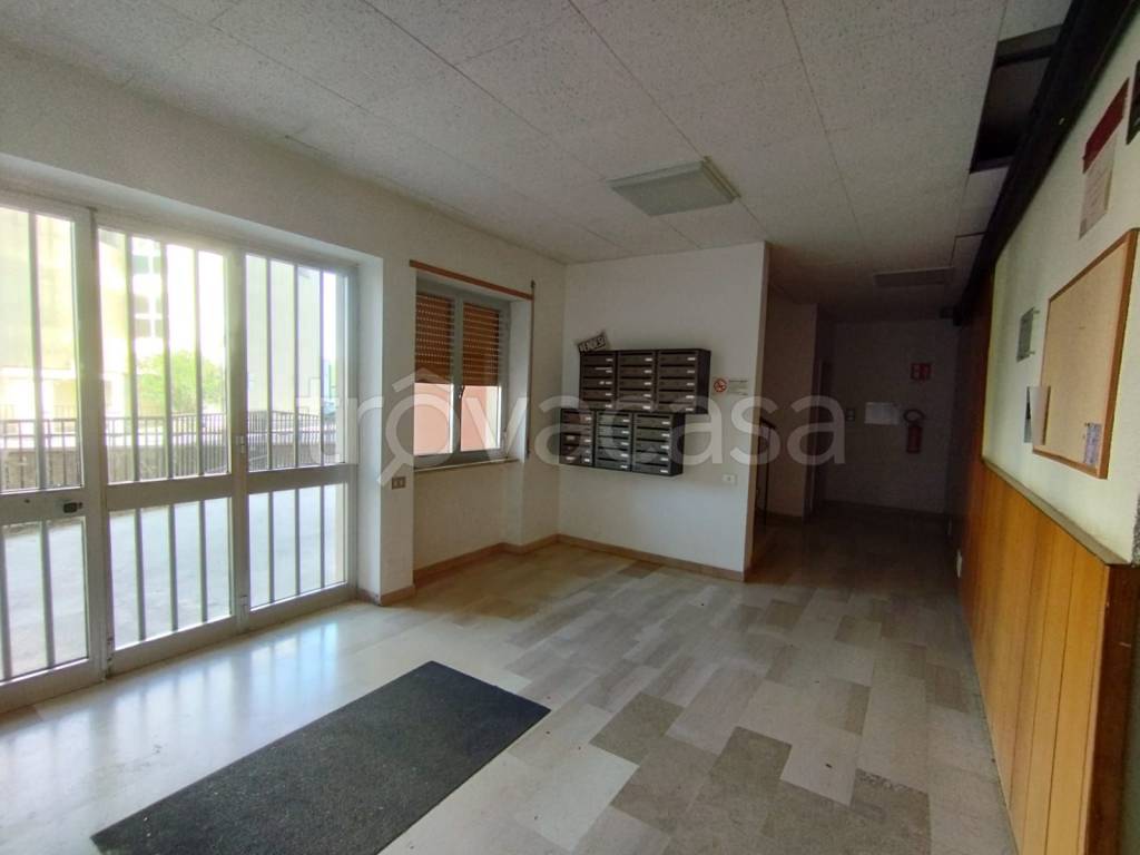 immagine annuncio 5 di 6