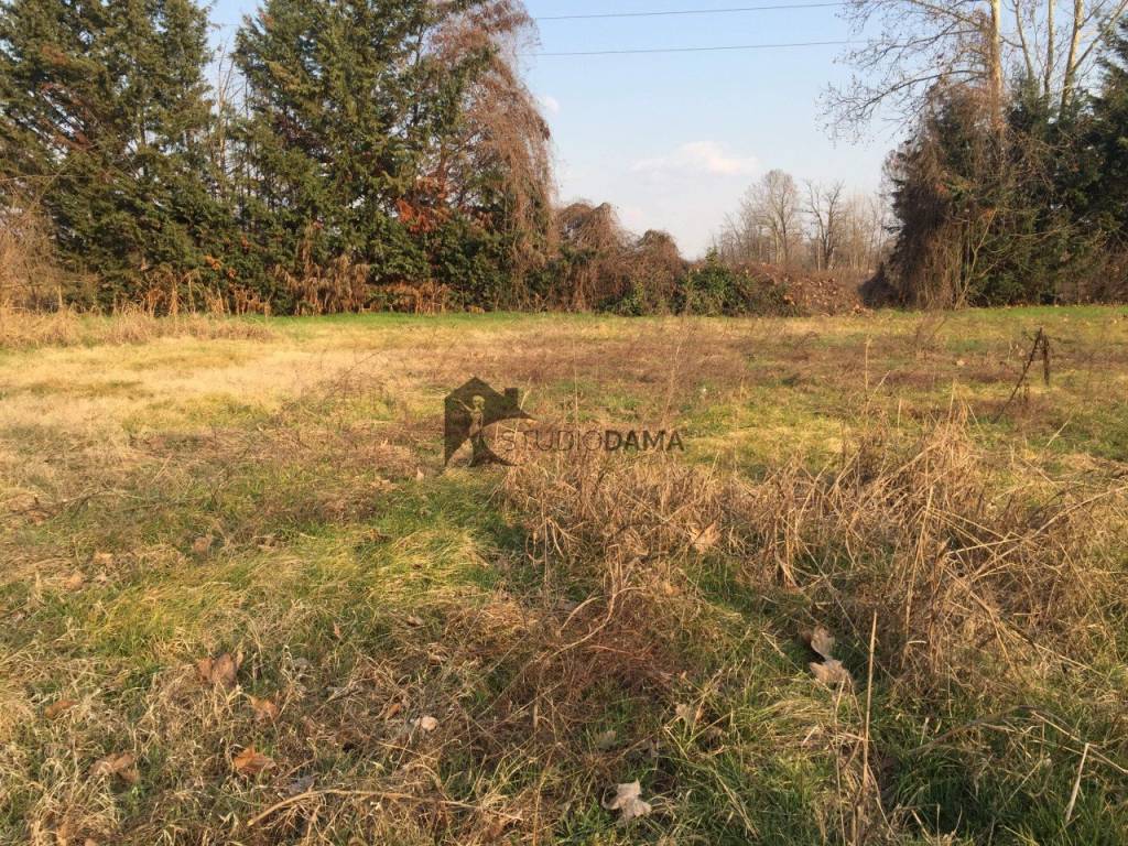 immagine annuncio 4 di 8