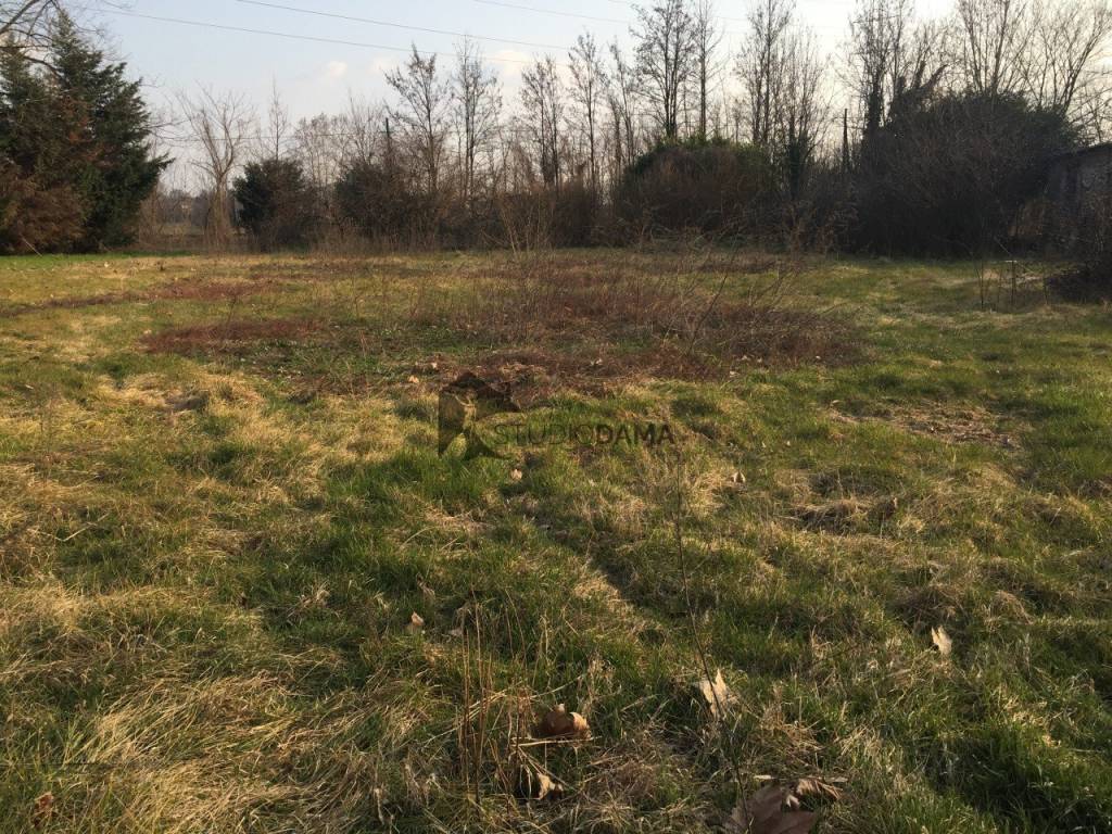 immagine annuncio 5 di 8