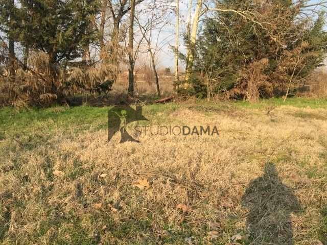 immagine annuncio 6 di 8