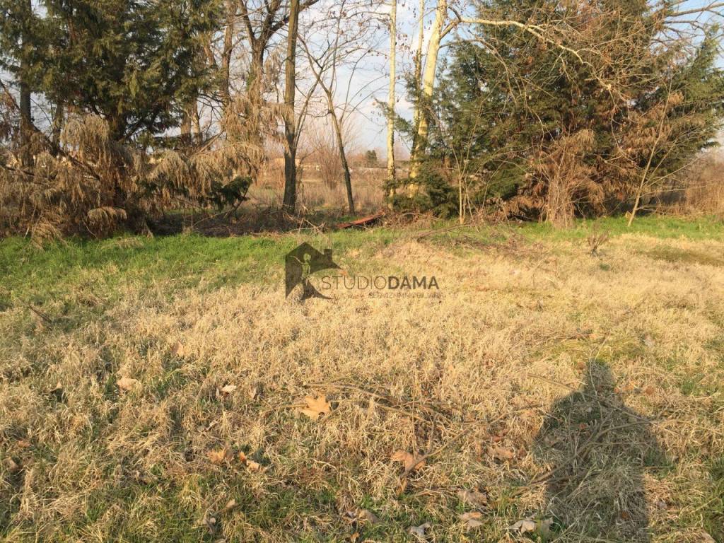 immagine annuncio 7 di 8