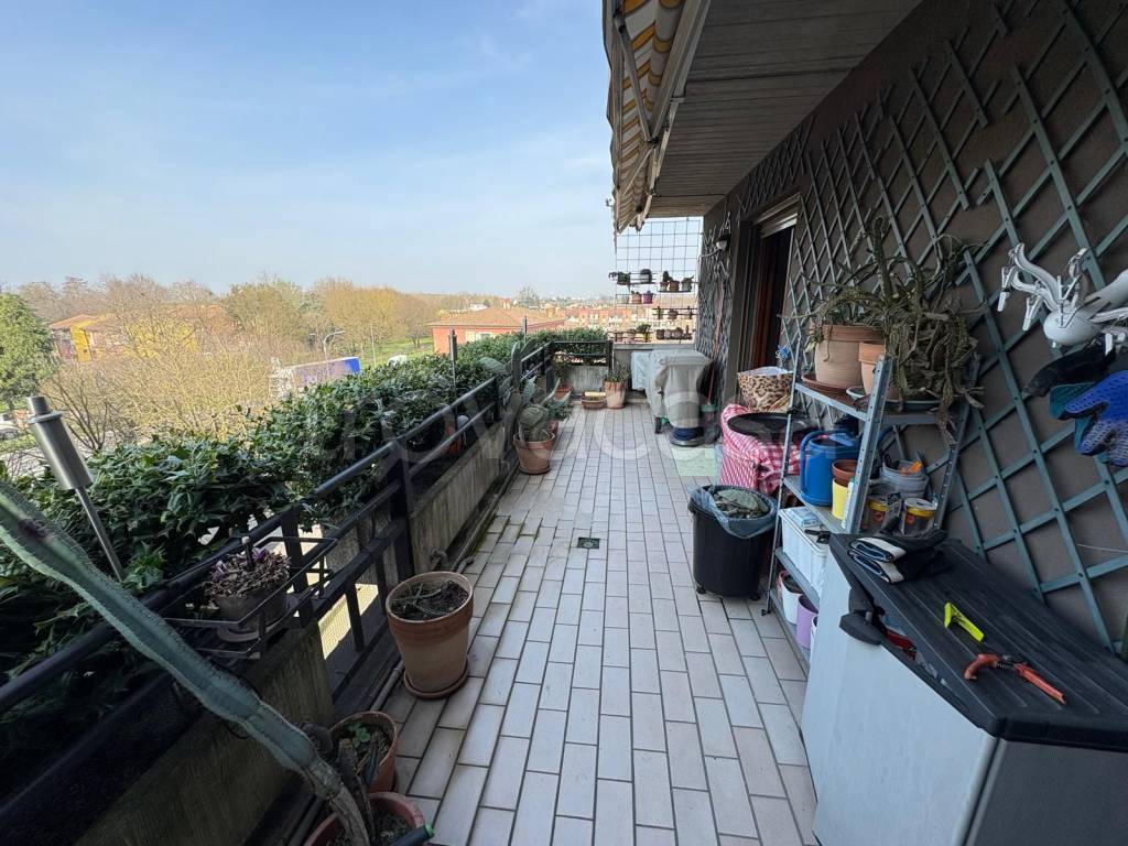 immagine annuncio 9 di 11