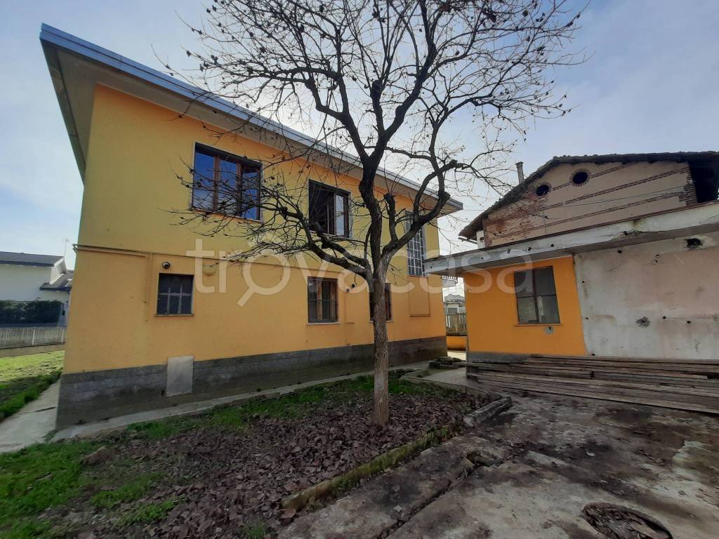 immagine annuncio 12 di 15