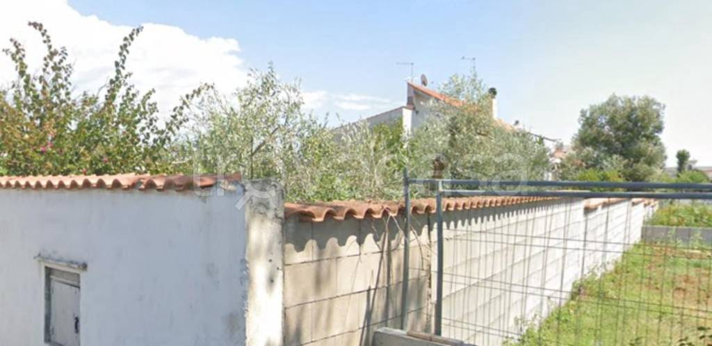 immagine annuncio 4 di 11