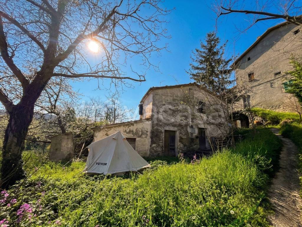 immagine annuncio 1 di 9