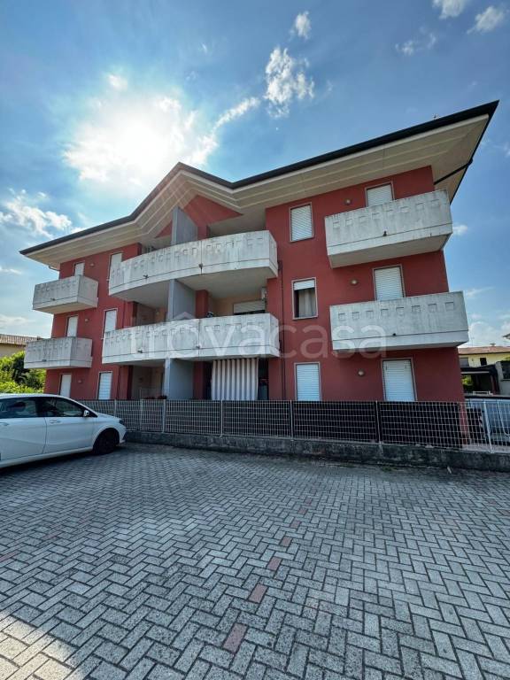 immagine annuncio 12 di 15