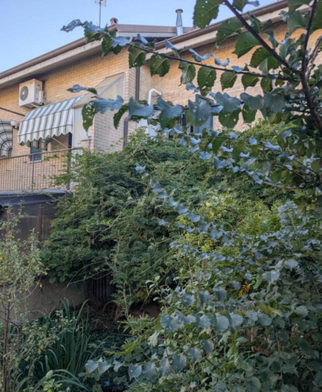 immagine annuncio 11 di 12