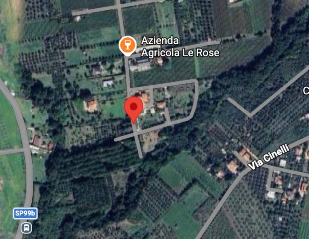 immagine annuncio 3 di 10