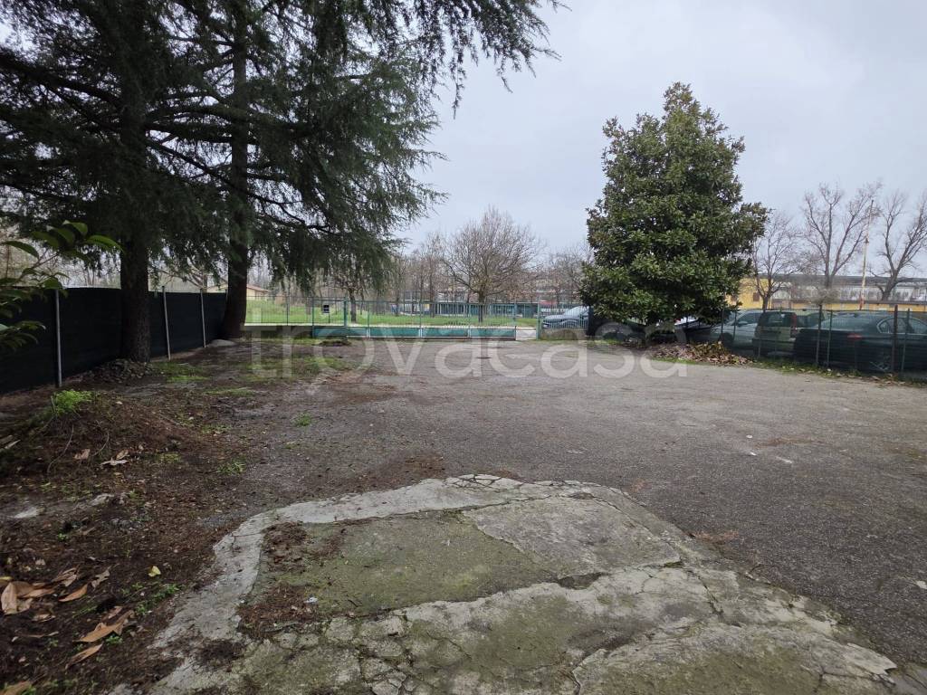 immagine annuncio 2 di 12