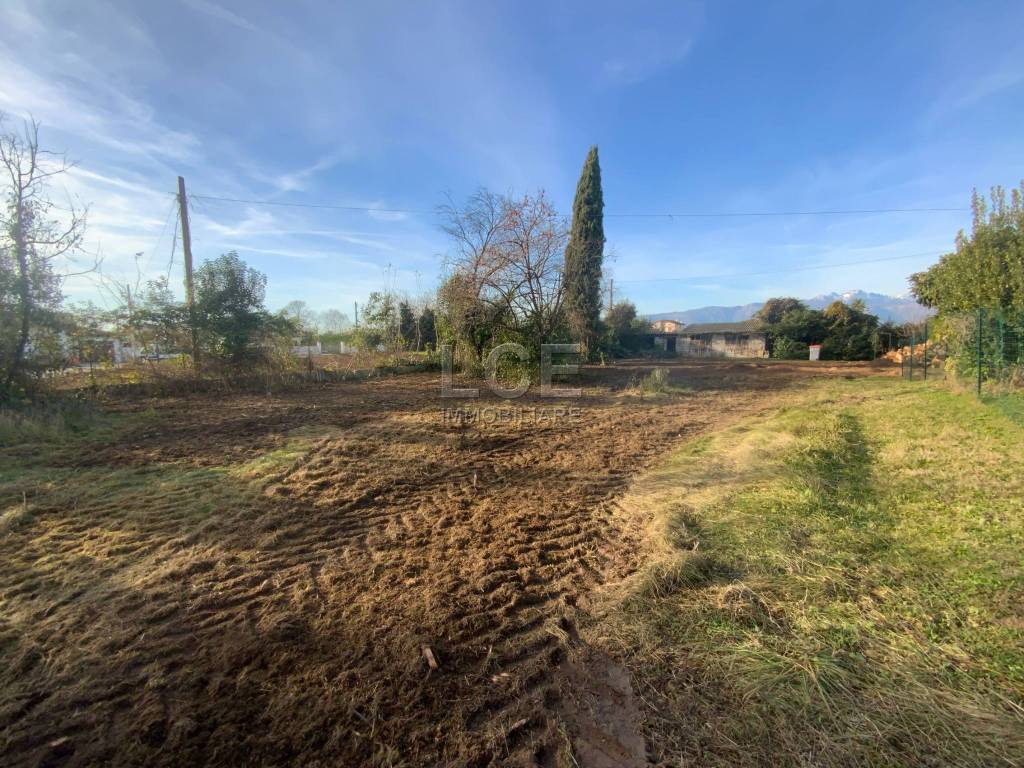 immagine annuncio 1 di 8