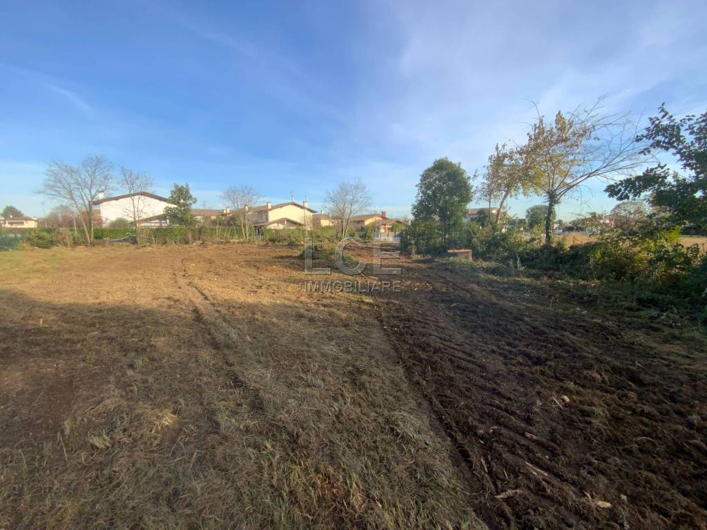 immagine annuncio 2 di 8