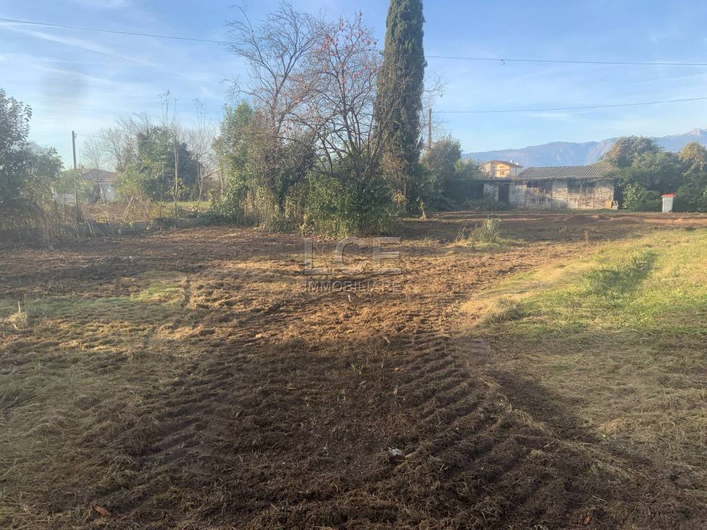 immagine annuncio 3 di 8