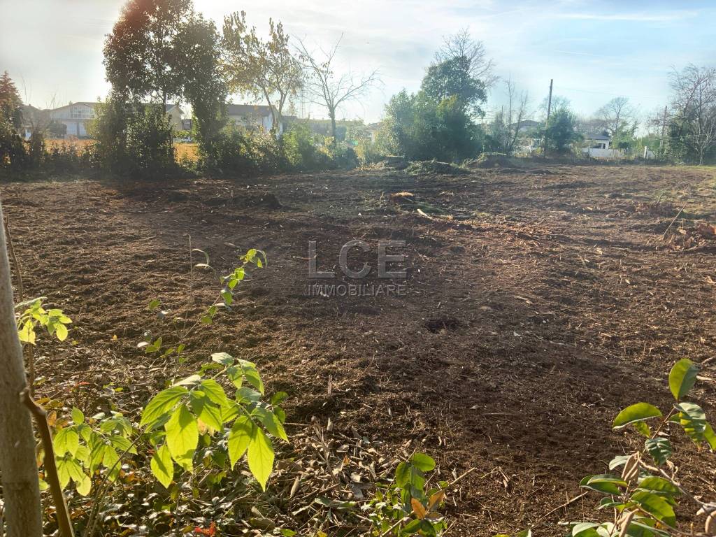 immagine annuncio 4 di 8