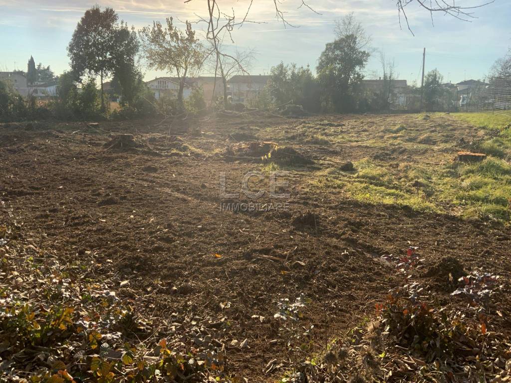 immagine annuncio 5 di 8