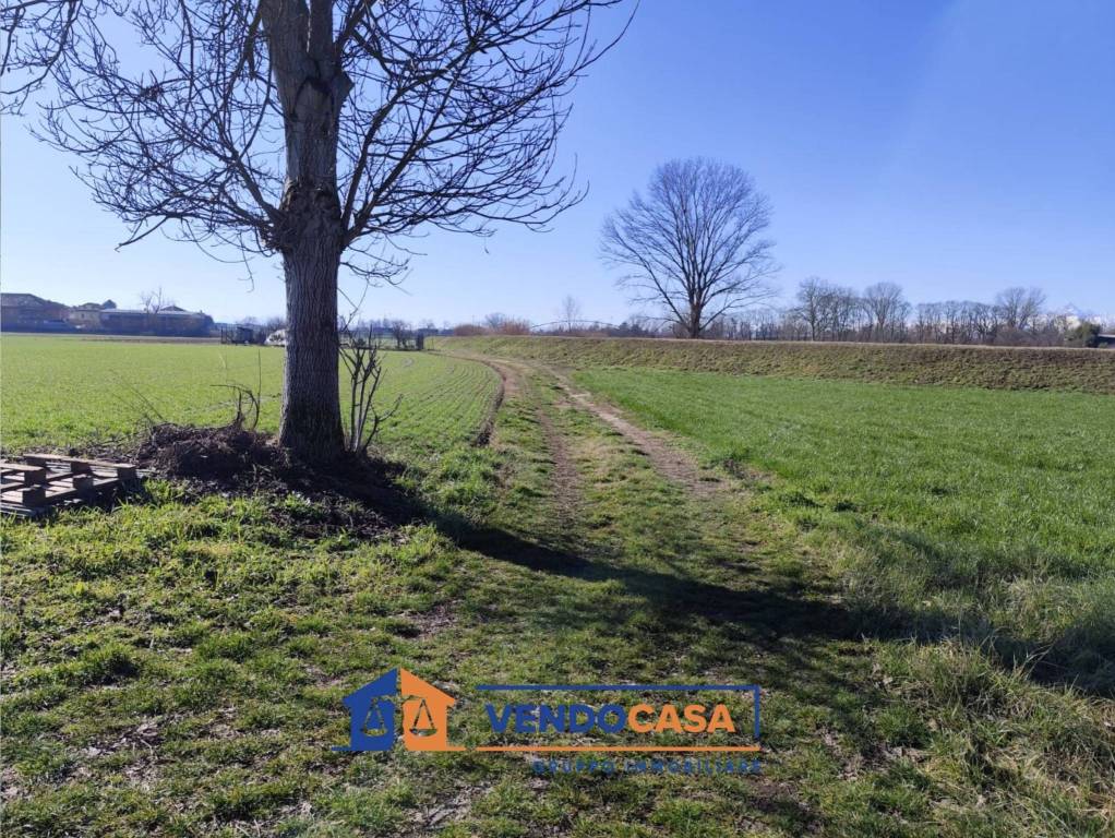 immagine annuncio 8 di 9