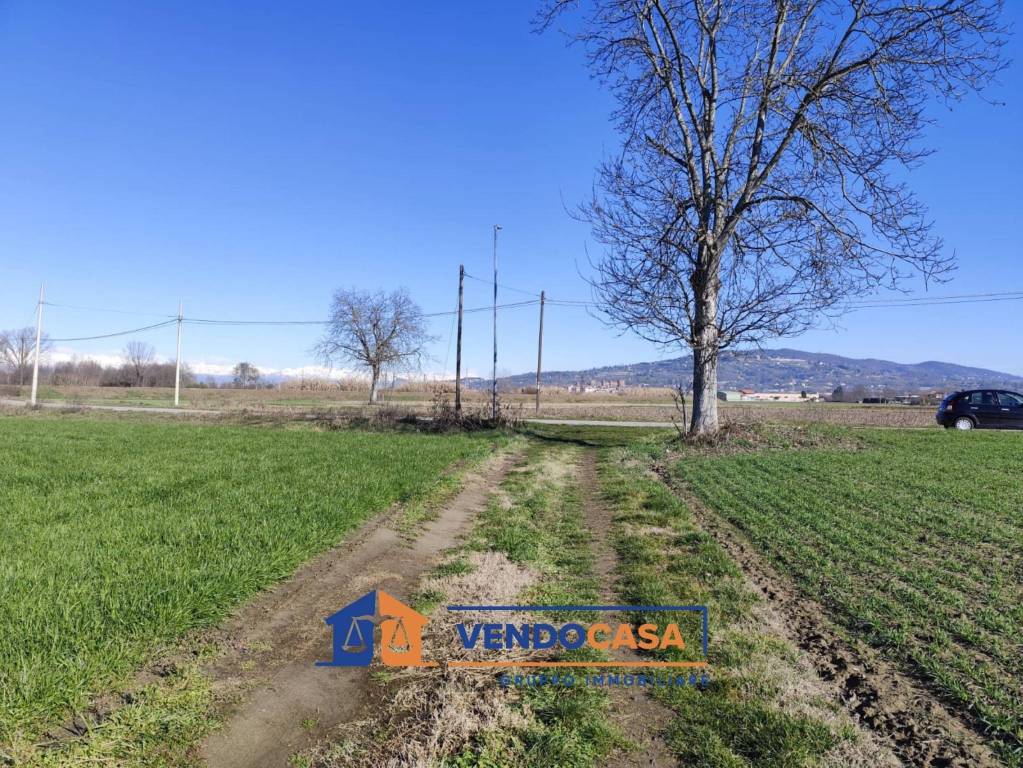 immagine annuncio 6 di 9