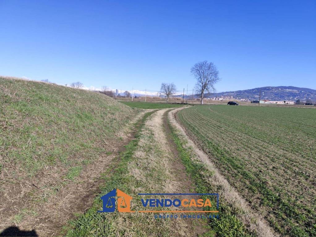 immagine annuncio 7 di 9