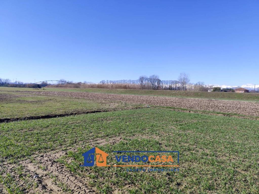 immagine annuncio 4 di 9