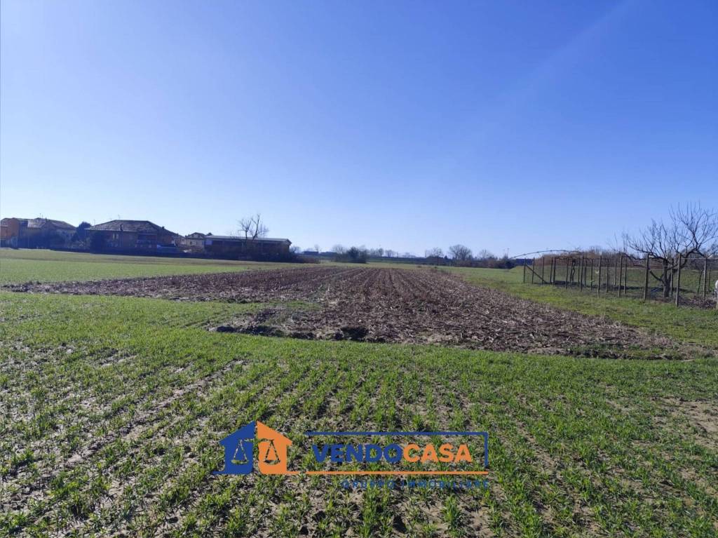 immagine annuncio 5 di 9