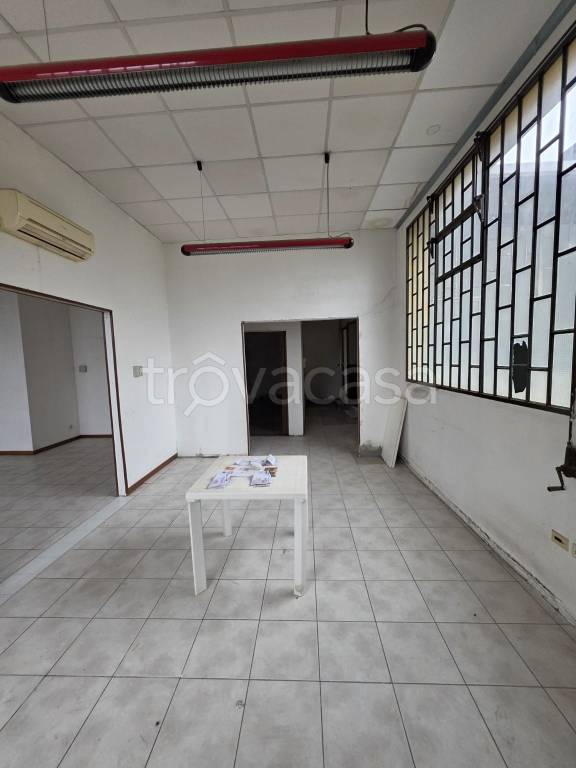 immagine annuncio 10 di 12