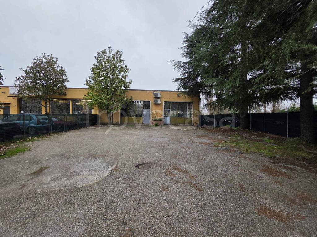 immagine annuncio 1 di 12