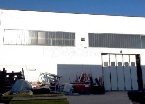 immagine annuncio 2 di 7