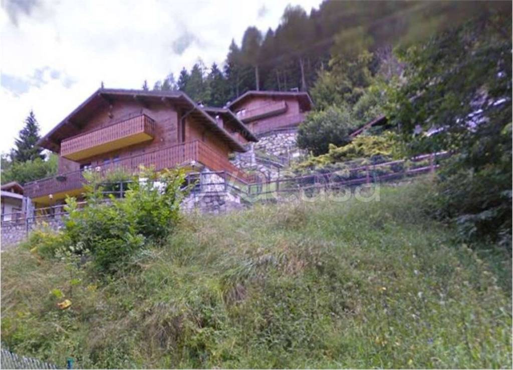 immagine annuncio 3 di 11