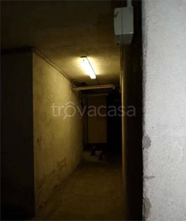 immagine annuncio 5 di 14